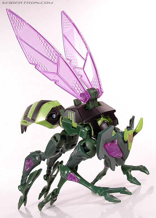 transformers wasp toy