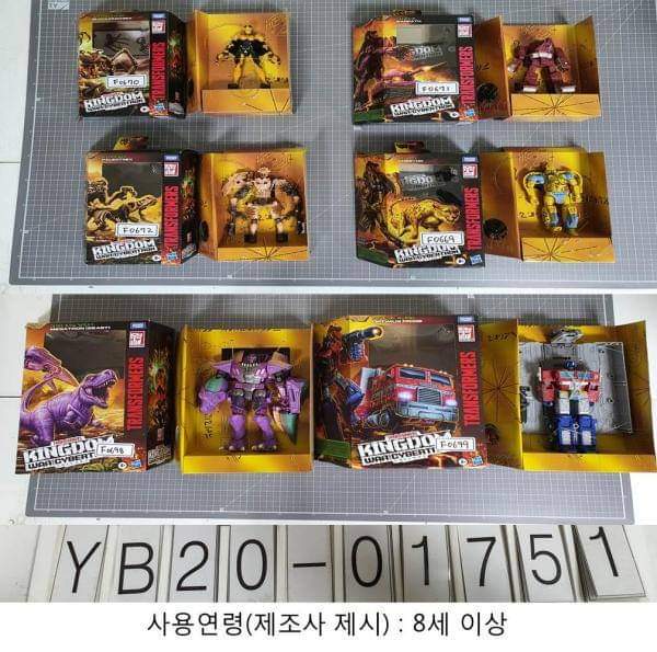 transformers war for cybertron kingdom toyline