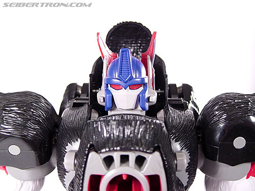 titans return optimus primal