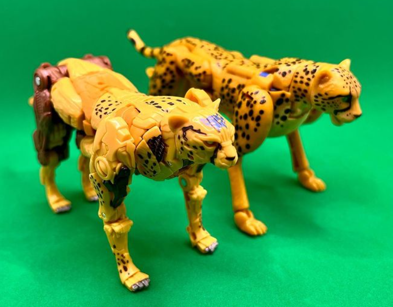 New Rise of the Beasts Cheetor Toy Seems to use Design Cues from