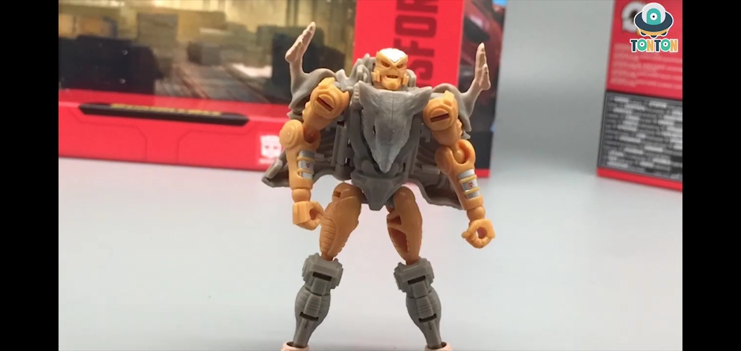 Transformers News: First Possible Look At Transformers Kingdom Core Class Rattrap