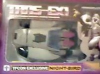 Transformers News: TFcon 2010 Night-bird Video Review