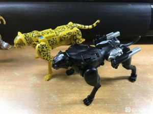 Transformers News: More Images of Transformers Agent Ravage and Comparison to Kingdom Cheetor