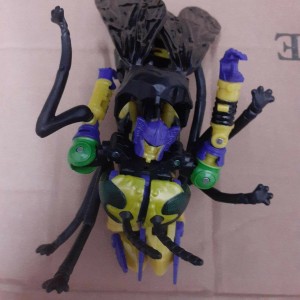 Picture Found of Buzz Saw as a Kingdom Waspinator Redeco with New Head