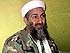 Transformers News: Osama Bin Laden CAUGHT???