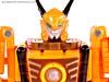 Transformers News: Collector's Club Exclusive Airazor Photogallery Online