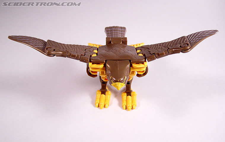 Transformers Beast Wars Airazor (Image #13 of 99)