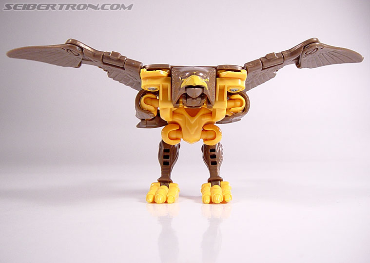 Transformers Beast Wars Airazor (Image #14 of 99)