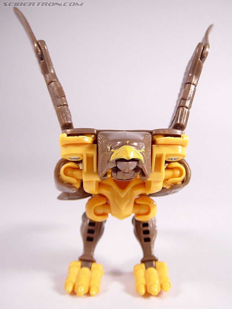 Transformers Beast Wars Airazor (Image #15 of 99)
