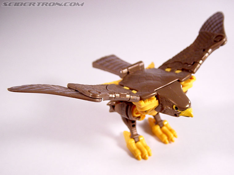 Transformers Beast Wars Airazor (Image #17 of 99)