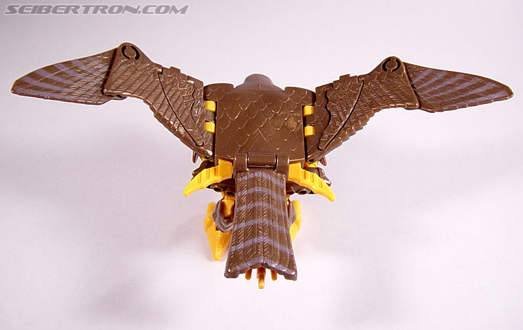 Transformers Beast Wars Airazor (Image #20 of 99)