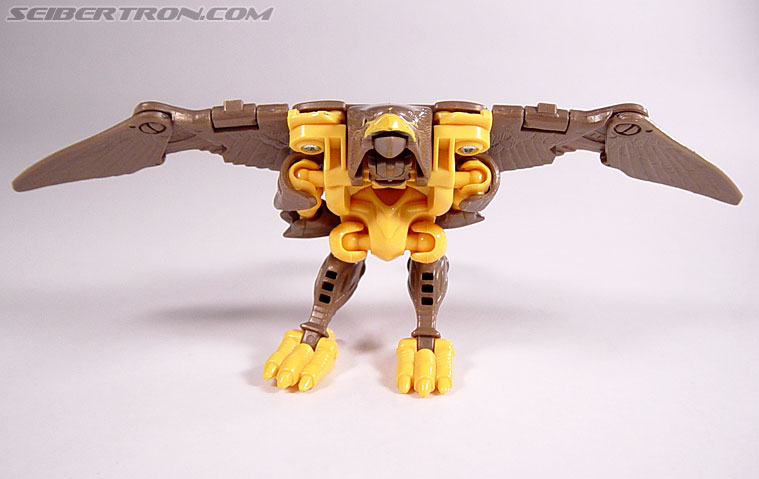 Transformers Beast Wars Airazor (Image #32 of 99)