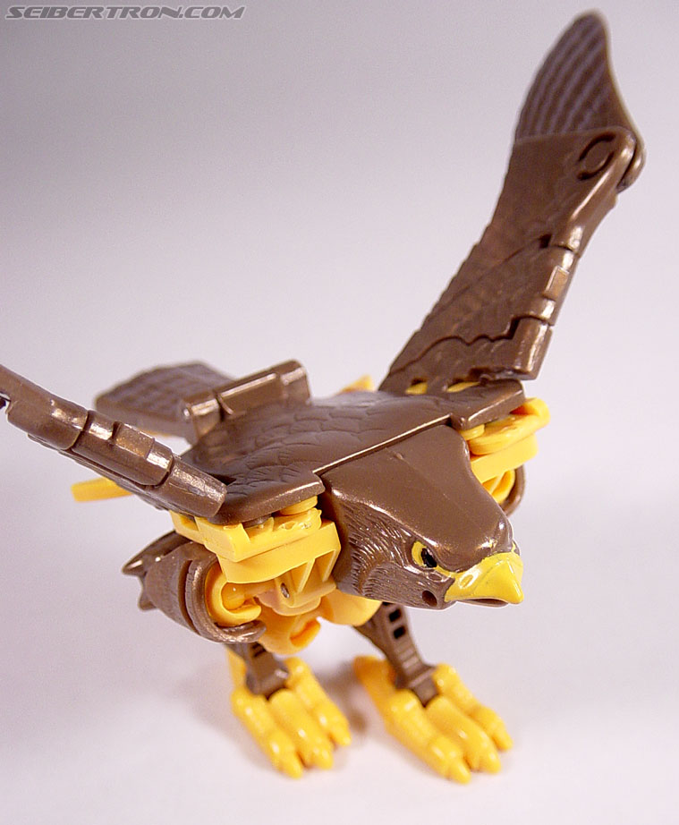 Transformers Beast Wars Airazor (Image #34 of 99)
