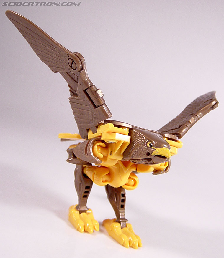 Transformers Beast Wars Airazor (Image #35 of 99)