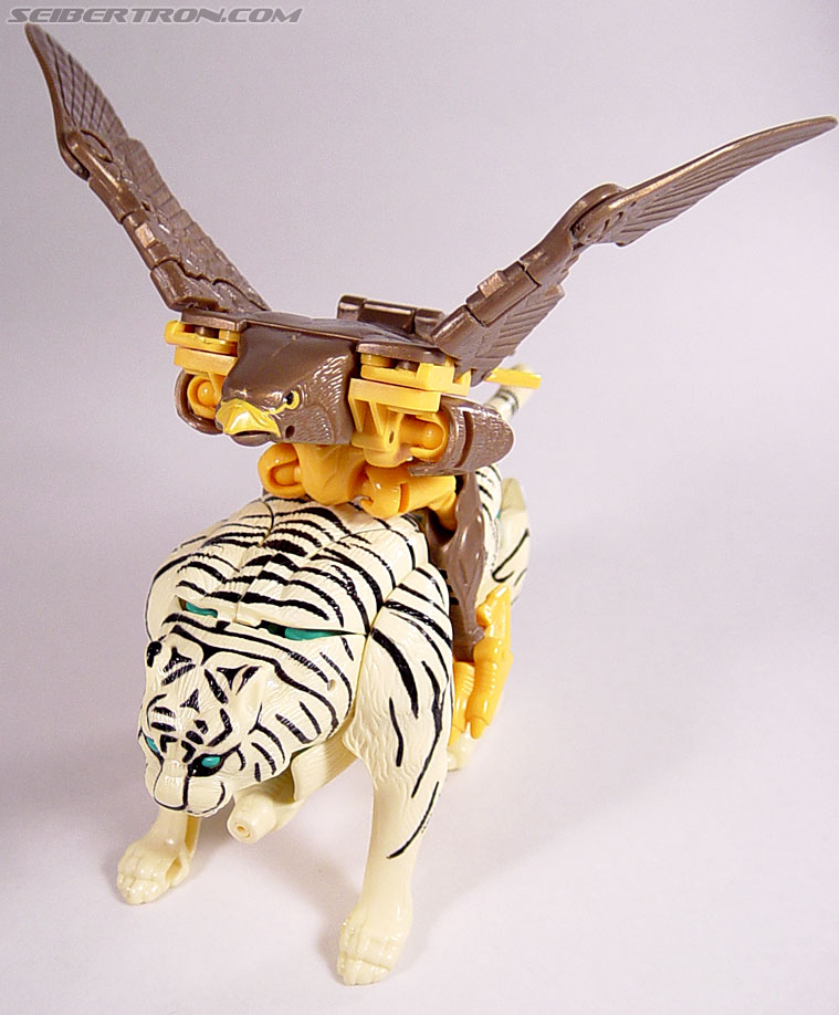 Transformers Beast Wars Airazor (Image #37 of 99)