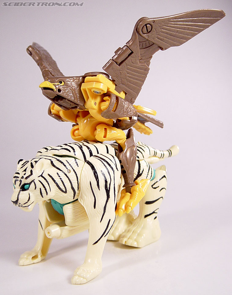Transformers Beast Wars Airazor (Image #38 of 99)