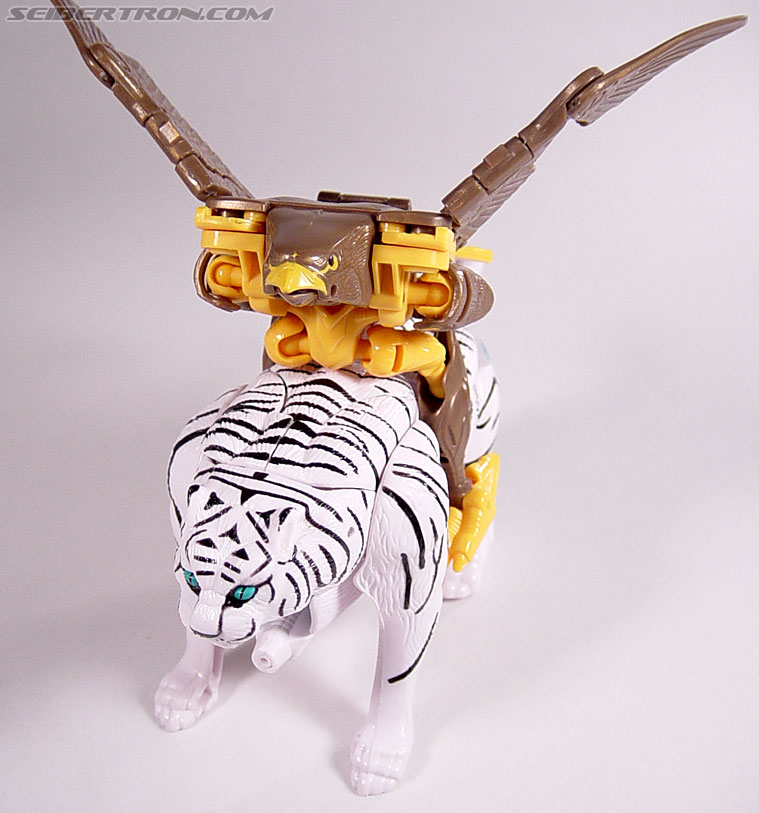 Transformers Beast Wars Airazor (Image #39 of 99)