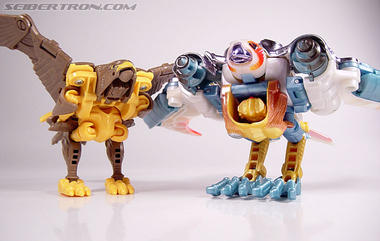 Transformers Beast Wars Airazor (Image #44 of 99)