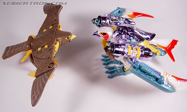 Transformers Beast Wars Airazor (Image #45 of 99)