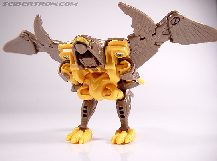 Transformers Beast Wars Airazor (Image #46 of 99)
