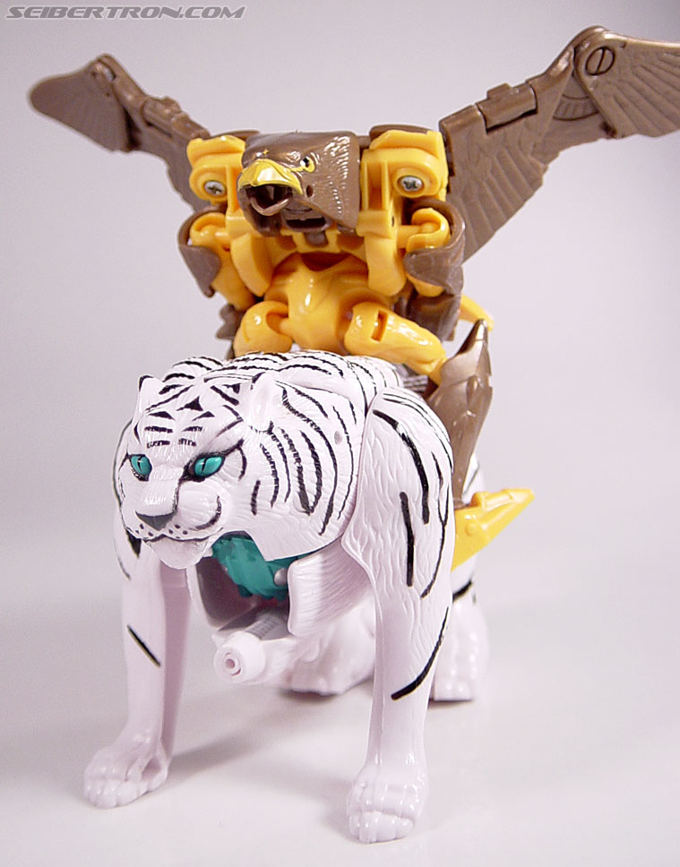 Transformers Beast Wars Airazor (Image #52 of 99)
