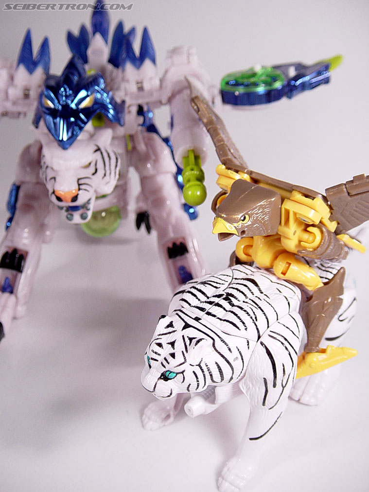 Transformers Beast Wars Airazor (Image #54 of 99)