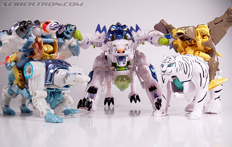 Transformers Beast Wars Airazor (Image #55 of 99)