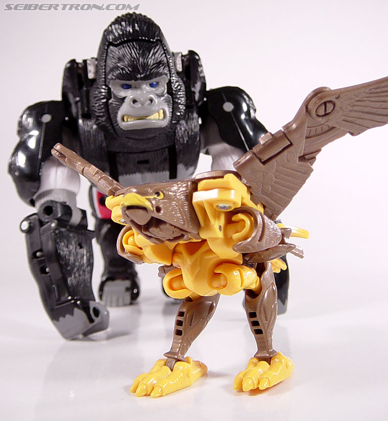 Transformers Beast Wars Airazor (Image #56 of 99)