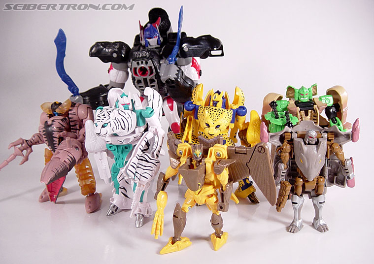 Transformers Beast Wars Airazor (Image #57 of 99)