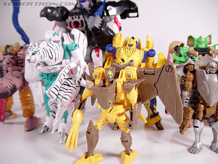 Transformers Beast Wars Airazor (Image #58 of 99)