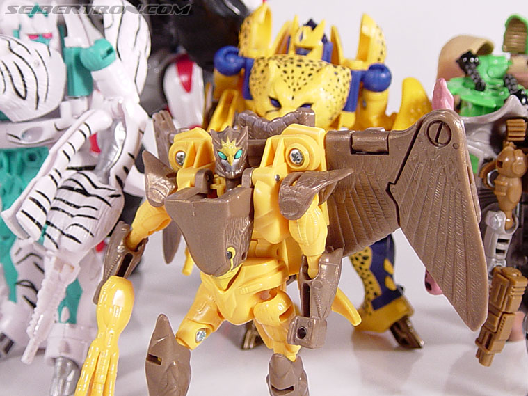 Transformers Beast Wars Airazor (Image #59 of 99)
