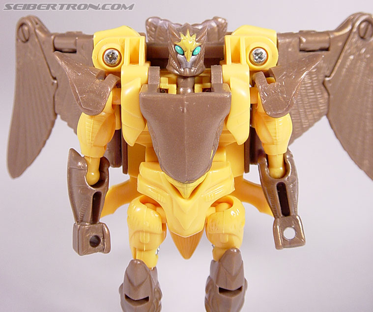 Transformers Beast Wars Airazor (Image #61 of 99)