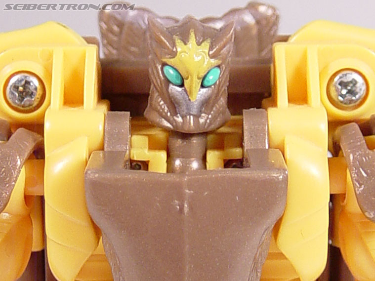 Transformers Beast Wars Airazor (Image #62 of 99)