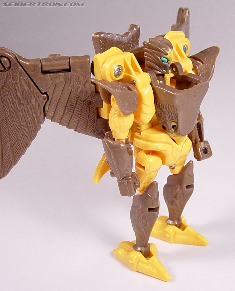 Transformers Beast Wars Airazor (Image #63 of 99)