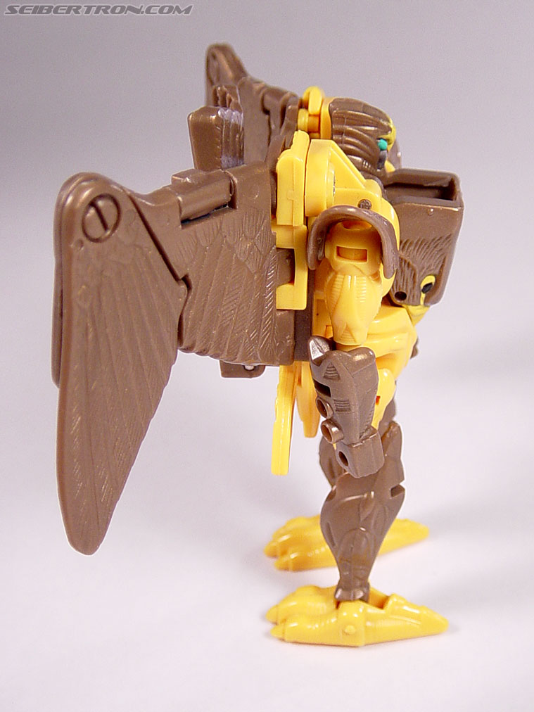 Transformers Beast Wars Airazor (Image #64 of 99)