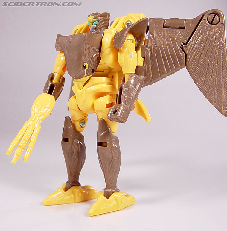 Transformers Beast Wars Airazor (Image #70 of 99)