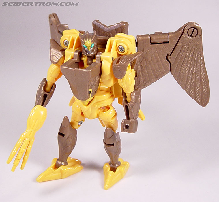 Transformers Beast Wars Airazor (Image #71 of 99)