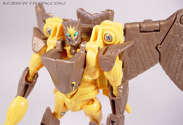 Transformers Beast Wars Airazor (Image #72 of 99)