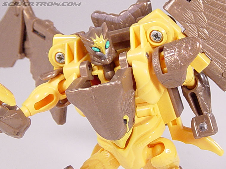 Transformers Beast Wars Airazor (Image #75 of 99)