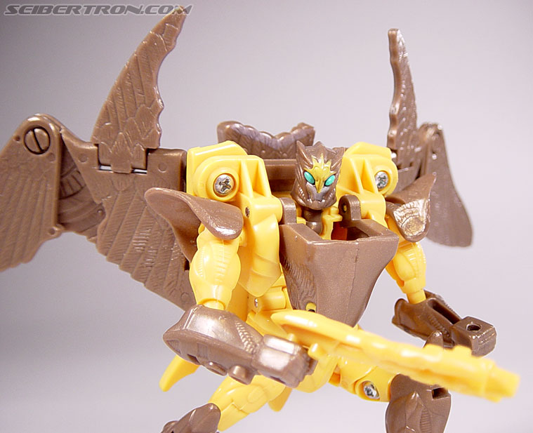 Transformers Beast Wars Airazor (Image #79 of 99)