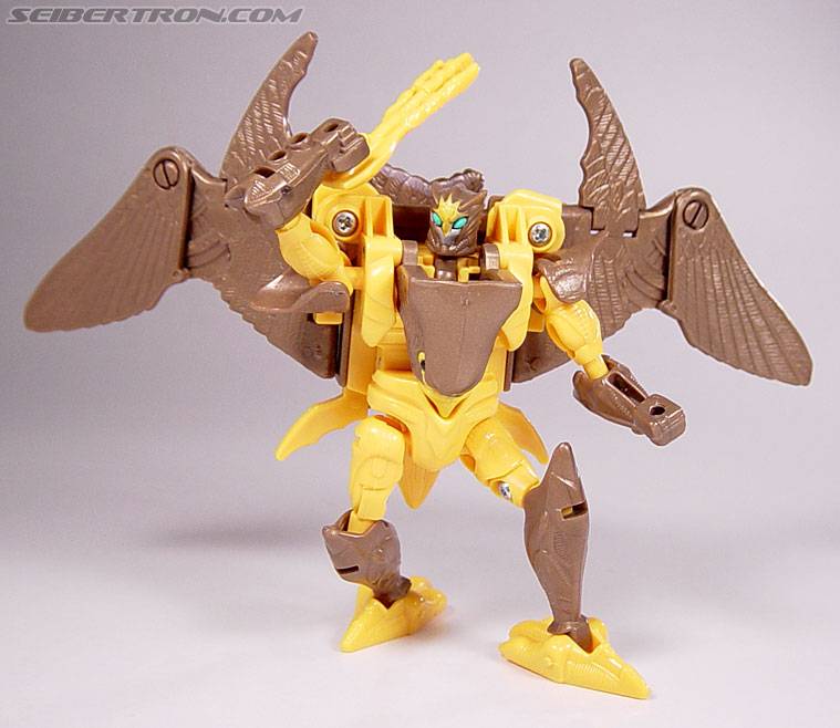 Transformers Beast Wars Airazor (Image #82 of 99)