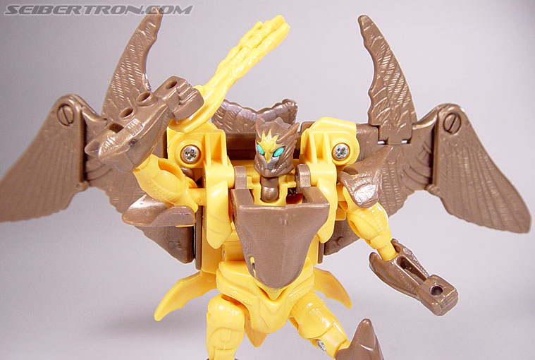 Transformers Beast Wars Airazor (Image #83 of 99)