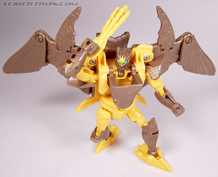 Transformers Beast Wars Airazor (Image #85 of 99)