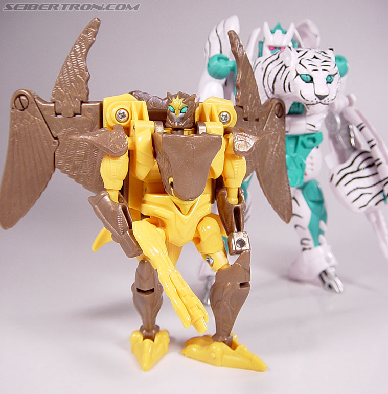 Transformers Beast Wars Airazor (Image #87 of 99)