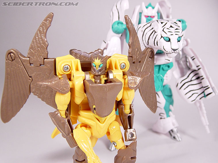 Transformers Beast Wars Airazor (Image #88 of 99)