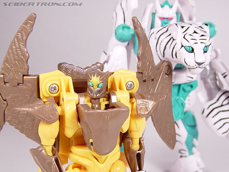 Transformers Beast Wars Airazor (Image #89 of 99)