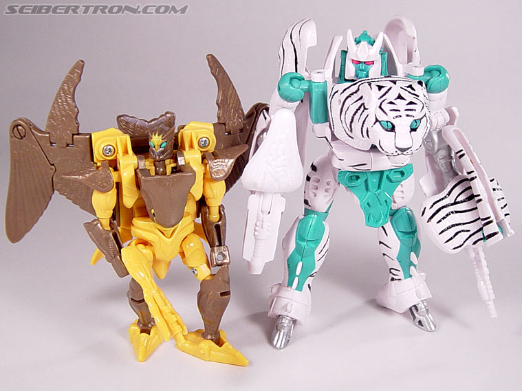 Transformers Beast Wars Airazor (Image #90 of 99)
