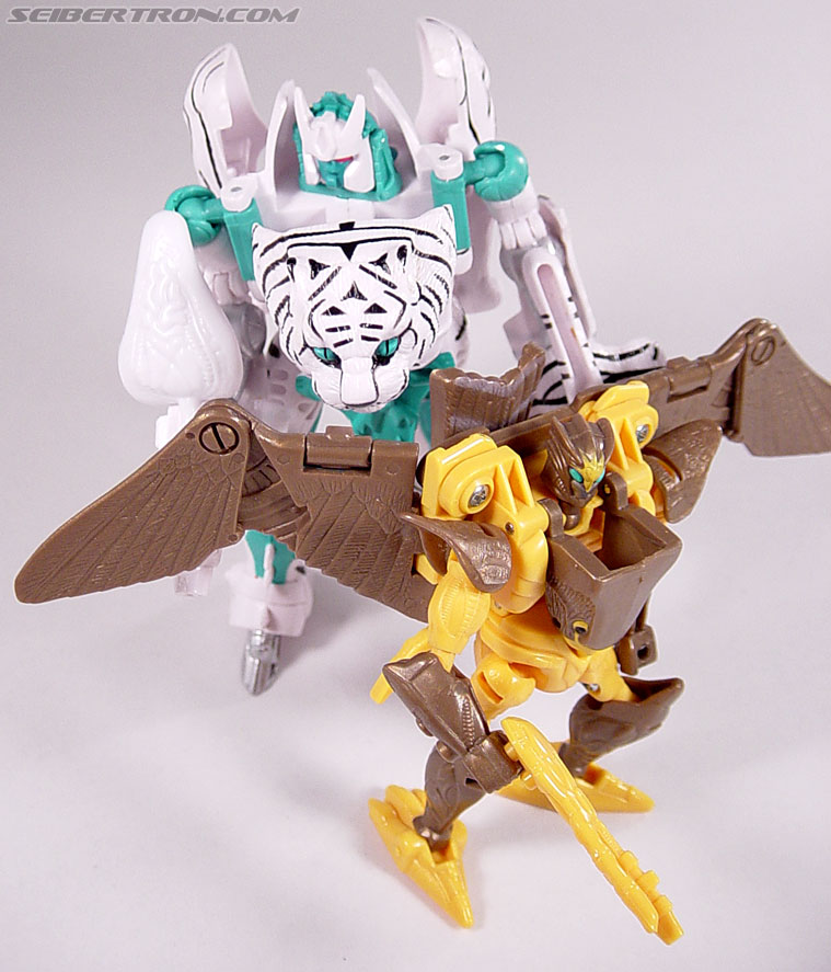 Transformers Beast Wars Airazor (Image #91 of 99)
