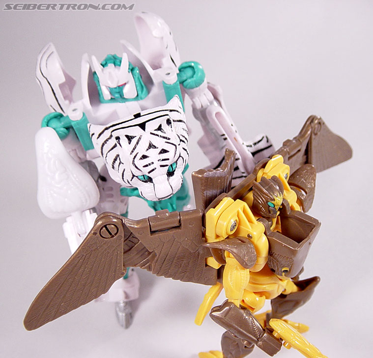 Transformers Beast Wars Airazor (Image #92 of 99)