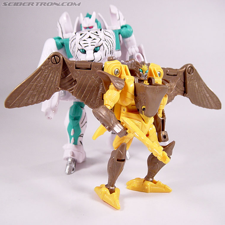 Transformers Beast Wars Airazor (Image #93 of 99)